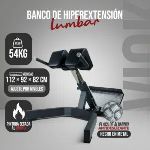 Banco de Hiperextensão Lombar Profissional