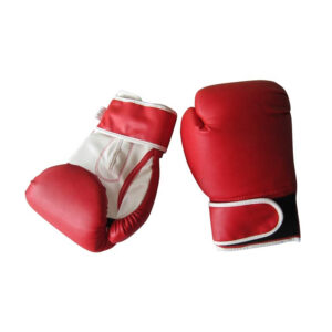 Luvas de Boxe PRO