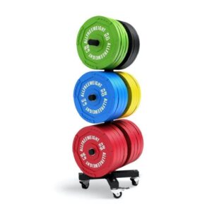 Suporte Vertical Para Discos Bumper AFW