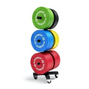 Suporte Vertical Para Discos Bumper AFW